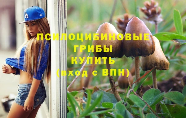 прущие крисы Армянск