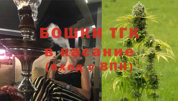 Альфа ПВП Аркадак
