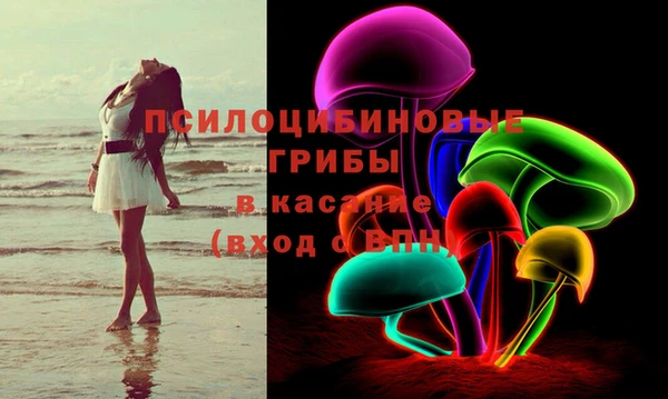 прущая мука Каменка