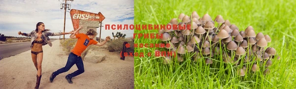 МДПВ Карпинск